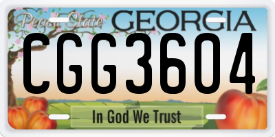 GA license plate CGG3604
