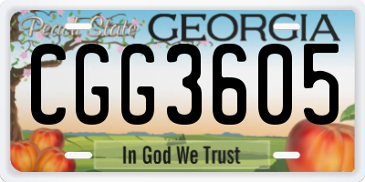 GA license plate CGG3605