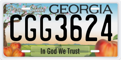GA license plate CGG3624