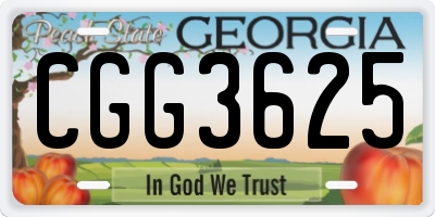 GA license plate CGG3625