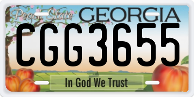 GA license plate CGG3655