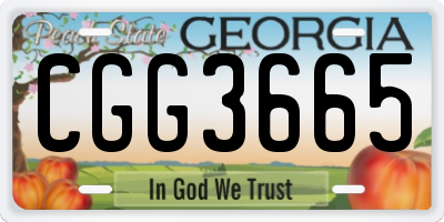 GA license plate CGG3665