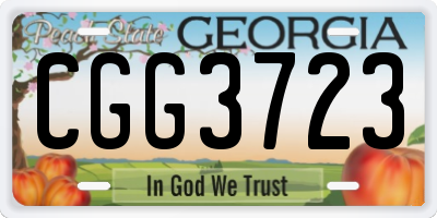 GA license plate CGG3723