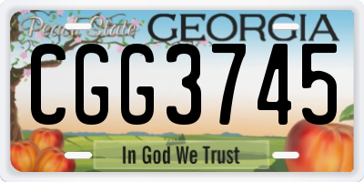 GA license plate CGG3745