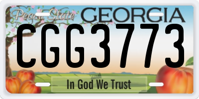 GA license plate CGG3773