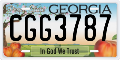 GA license plate CGG3787