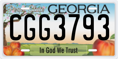 GA license plate CGG3793
