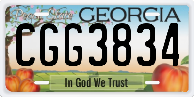 GA license plate CGG3834