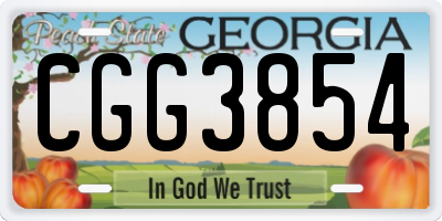 GA license plate CGG3854