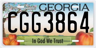 GA license plate CGG3864