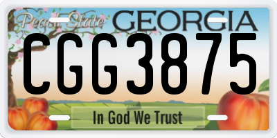 GA license plate CGG3875