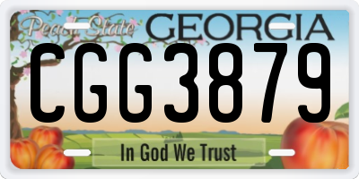 GA license plate CGG3879