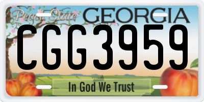 GA license plate CGG3959