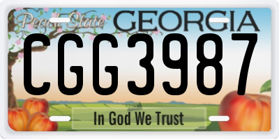 GA license plate CGG3987