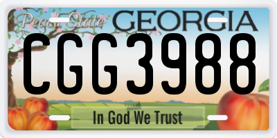 GA license plate CGG3988