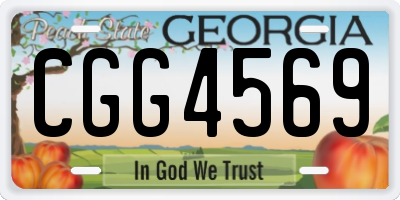 GA license plate CGG4569