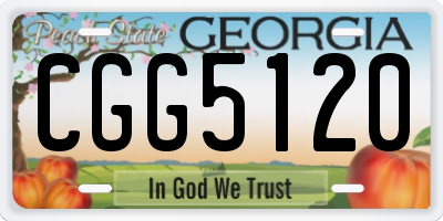 GA license plate CGG5120