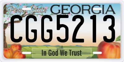 GA license plate CGG5213