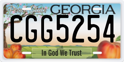 GA license plate CGG5254
