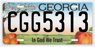 GA license plate CGG5313