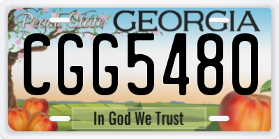 GA license plate CGG5480