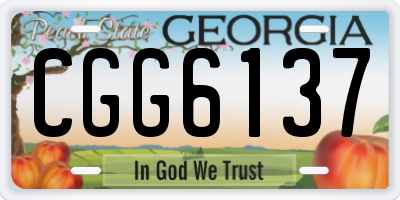 GA license plate CGG6137