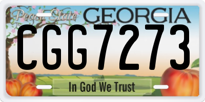 GA license plate CGG7273