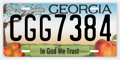 GA license plate CGG7384