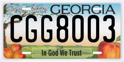 GA license plate CGG8003