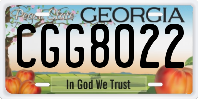 GA license plate CGG8022