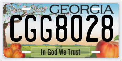 GA license plate CGG8028
