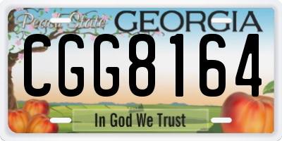 GA license plate CGG8164