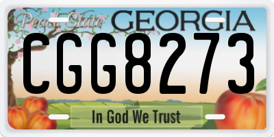 GA license plate CGG8273