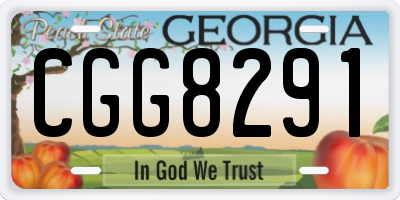 GA license plate CGG8291