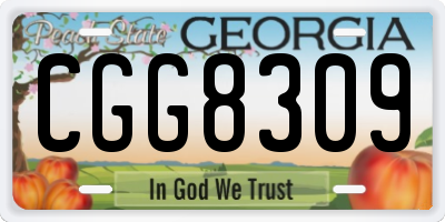 GA license plate CGG8309