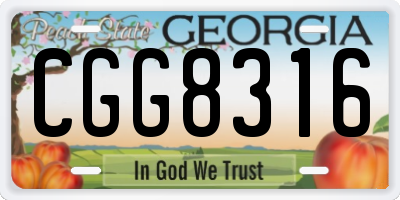 GA license plate CGG8316