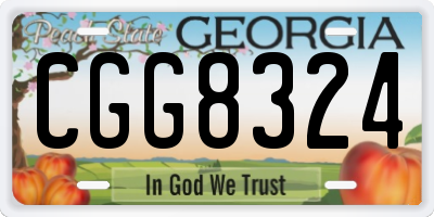 GA license plate CGG8324
