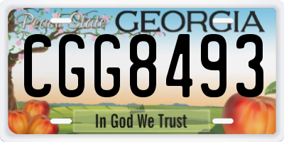 GA license plate CGG8493