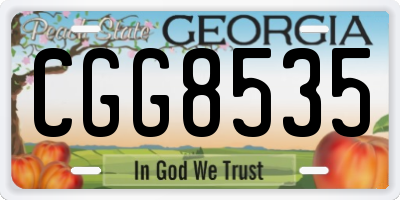 GA license plate CGG8535