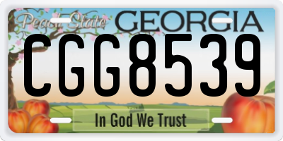 GA license plate CGG8539