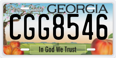 GA license plate CGG8546