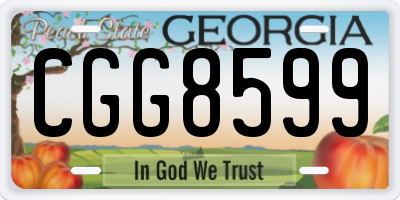 GA license plate CGG8599