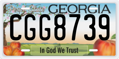 GA license plate CGG8739