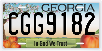 GA license plate CGG9182