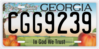 GA license plate CGG9239
