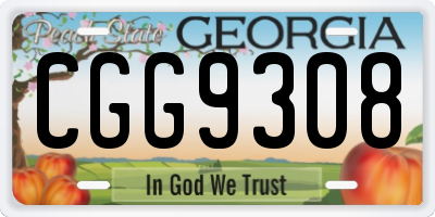 GA license plate CGG9308