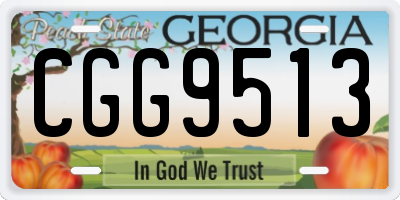 GA license plate CGG9513