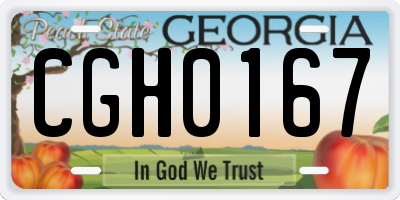 GA license plate CGH0167