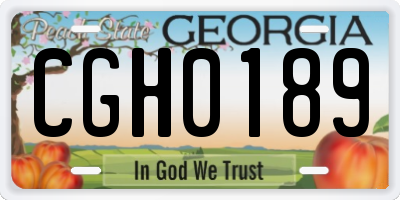 GA license plate CGH0189