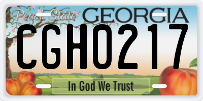 GA license plate CGH0217